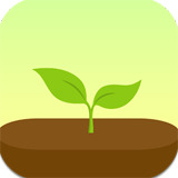 forest专注森林安卓版app下载