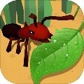 蚂蚁进化3d破解版无限资源免广告