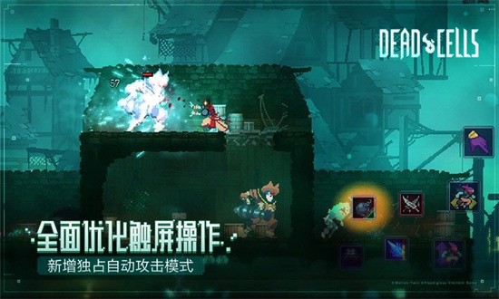 ϸ溺