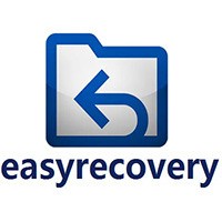 easyrecovery԰ v6.0