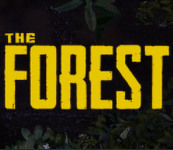 the forestǫָ̈̄ ɭֶģʽô