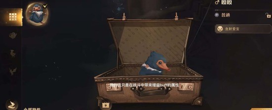 ħ涯ô 涯ﲶ׽