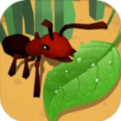 蚂蚁进化3D无限资源版