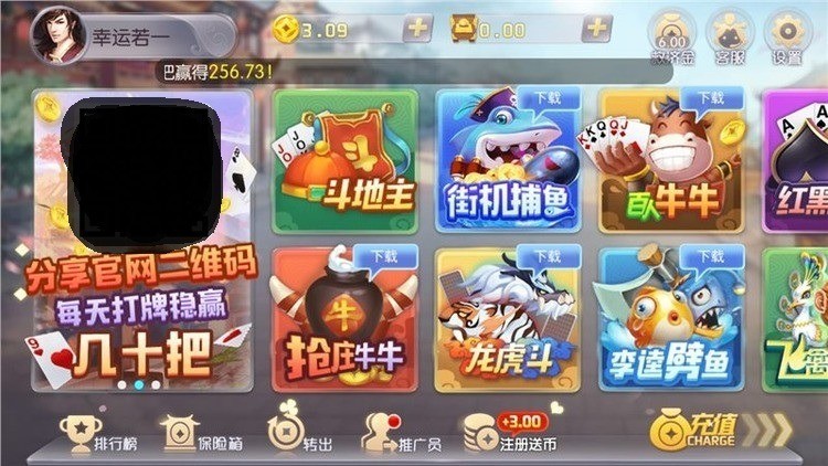  (3)