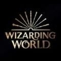 wizardingworld分院测试