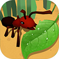 蚂蚁进化3d免广告下载