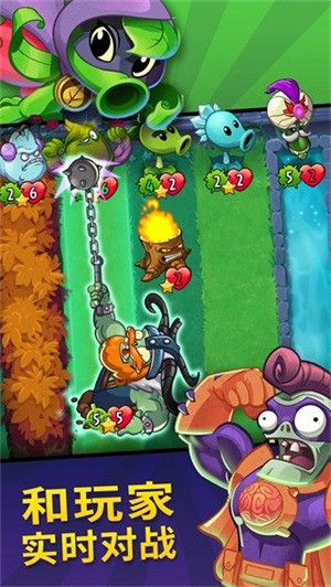 pvzӢʯ޸2