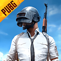 pubg(Է)