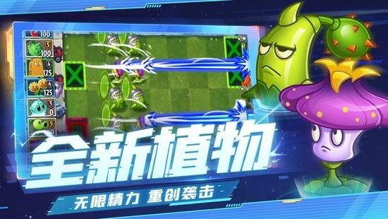ֲսʬʥ2