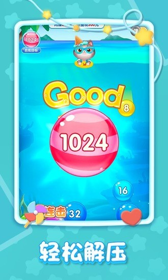 20482