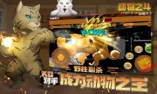 ֮ȫɫ