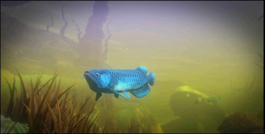 feedandgrowfishֻ-FeedandgrowFish׿2024°v1.1