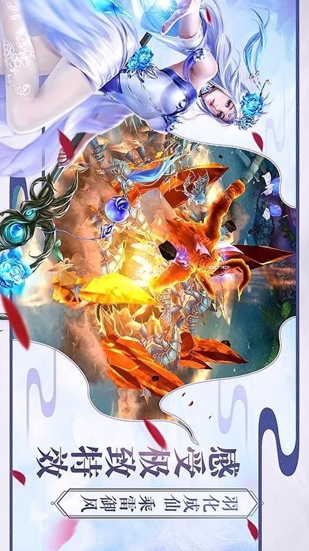  (2)