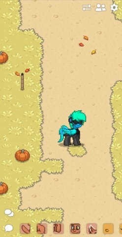 ponytownٷ-ponytown2024°