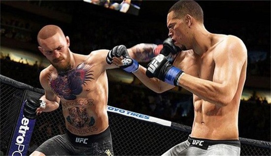 ufc4 (2)