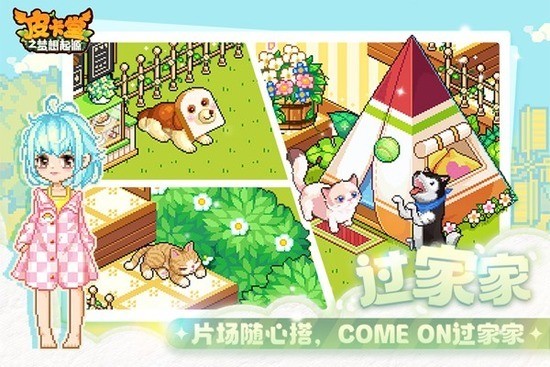 Ƥ֮Դٷ