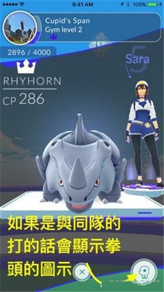 pokemon (3)