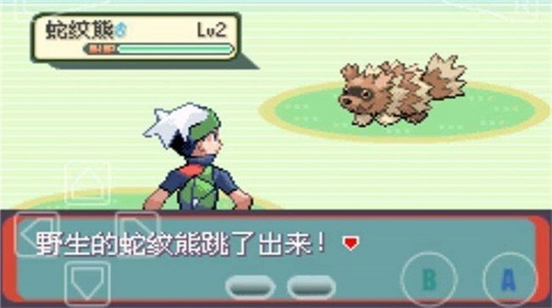 ڴ̱ʯֻ氲׿