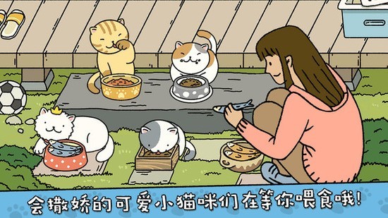 ȳ޹
