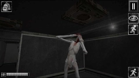 Scpʵֻ