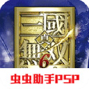˫6