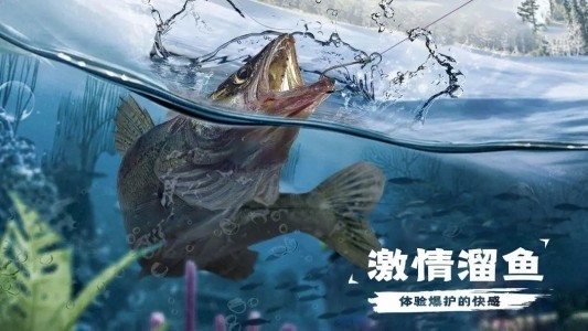 ˰氲׿