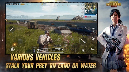 pubgԽϷ (4)