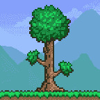 ̩ʲô ̩ȡʽ