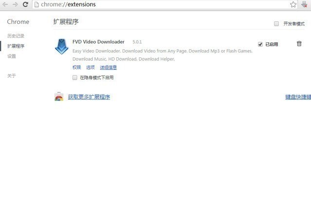 fvd downloader (2)
