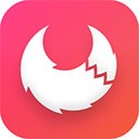 Apifox԰ذװ