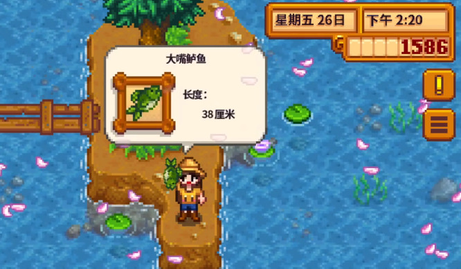 星露谷物语砂锅鱼任务怎么做