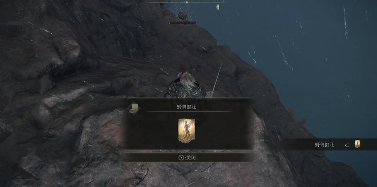 艾尔登法环野兽健壮怎么获得