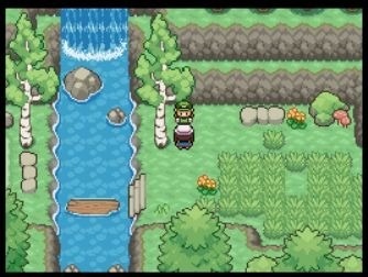 口袋妖怪九重天中文版内置修改器