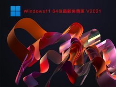 windows11عʽַ_windows11(64λϵͳ)°  
