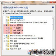 iisʲôwin8ϵͳiisûзĴ취