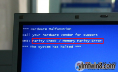 ʾparity check error ΰ죿