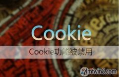 win8 CookieҪοiE cookieò
