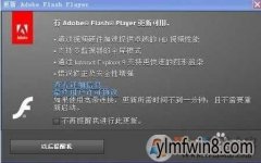 win8Adobe Flash Playerʾιص