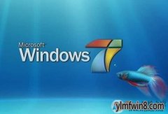 win8־ļ̫ΰ죿win8׽־ļİ취