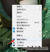 win10ϵͳʾ벻ֵ֧ò