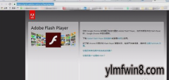 win10ϵͳadobe flash playerڶ⵽ֹ޸