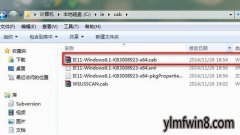 win10ϵͳװ²ʾ0x80240037ü