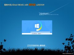ľGhost Win8.1 64λ װ2019.04(Լ)  