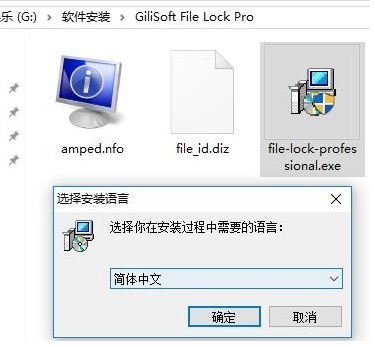 ݼ Gilisoft File Lock pro v11.3.0