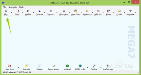 mega