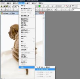 R2v32_R2v32(图片矢量化软件)v5.5 绿色