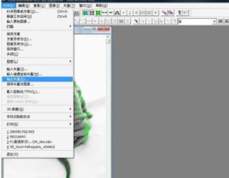 R2v32_R2v32(图片矢量化软件)v5.5 绿色
