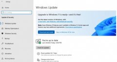 ΢ Release Preview Ƶ Windows Insider ĿԱ