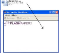 Flashpaper|Flashpaperռv10.870ҵ  