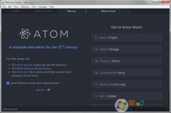 ATOM|ATOM༭v10.593ȫ  
